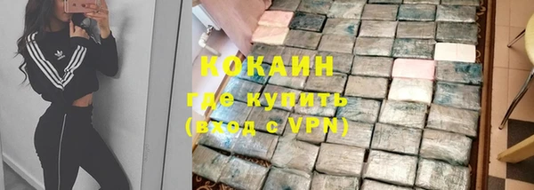 шишки Аркадак