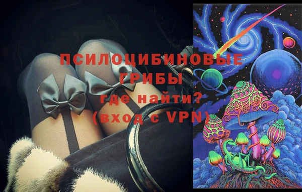 шишки Аркадак